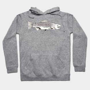 Half fish Hoodie